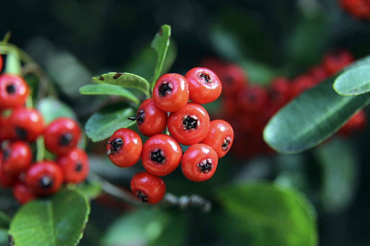 体育机构已 体育机构已