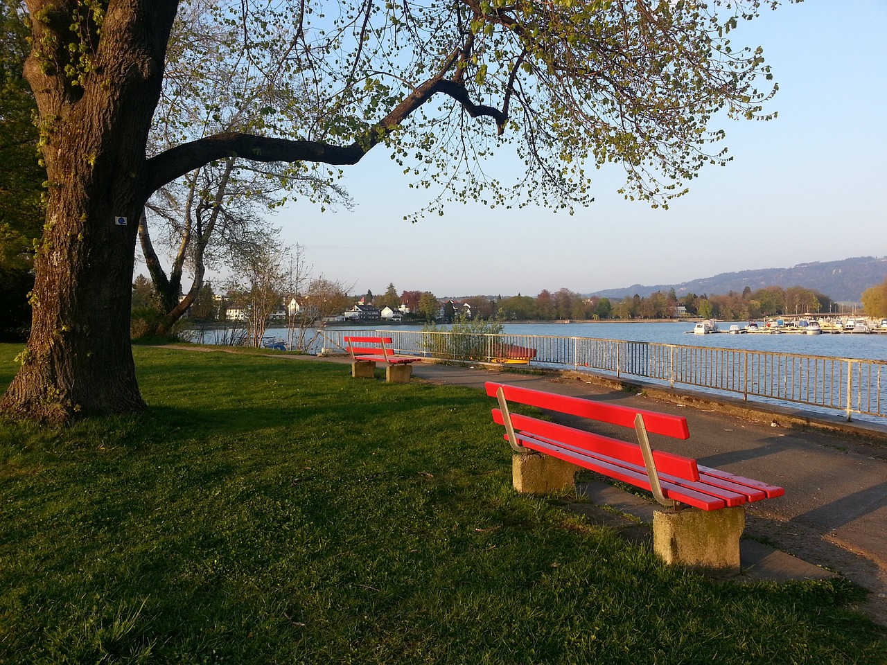 各种形式无 各种形式无