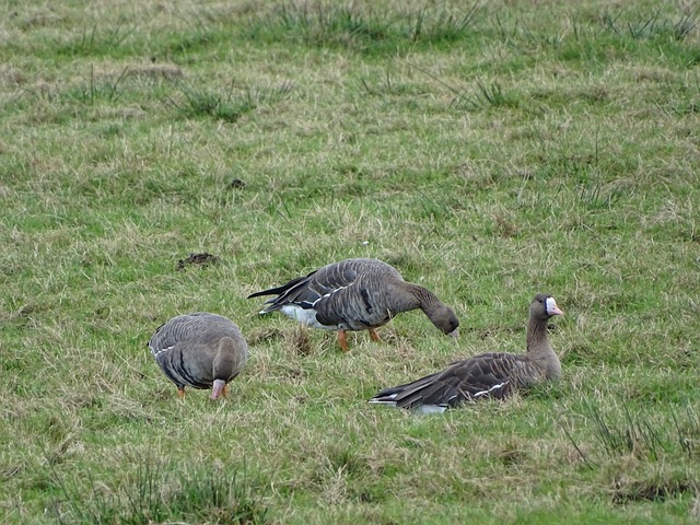 激励与启示 激励与启示