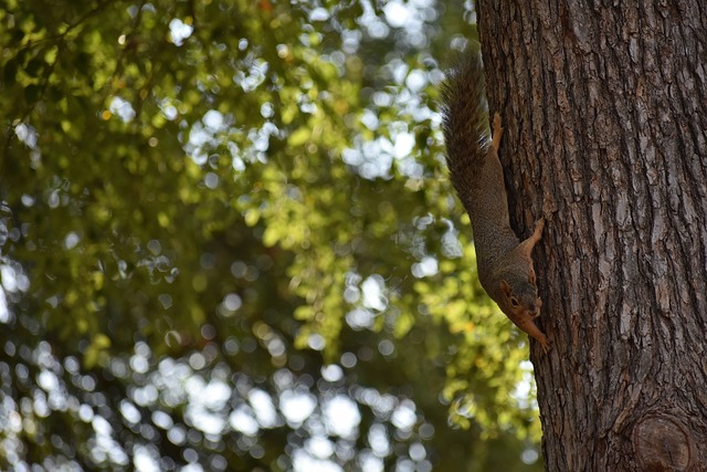 种协作和互 种协作和互