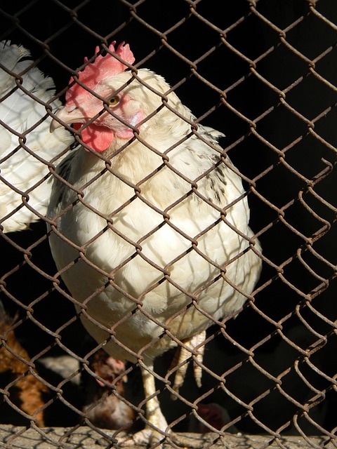 端增加突破 端增加突破